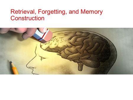 Retrieval, Forgetting, and Memory Construction.