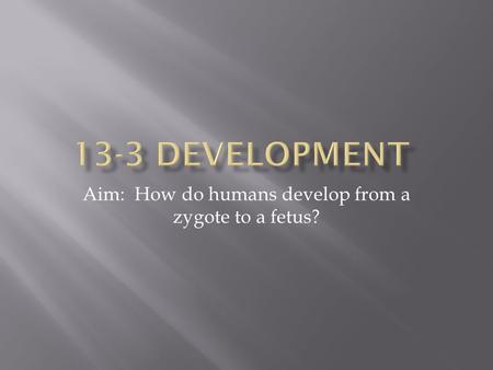Aim: How do humans develop from a zygote to a fetus?