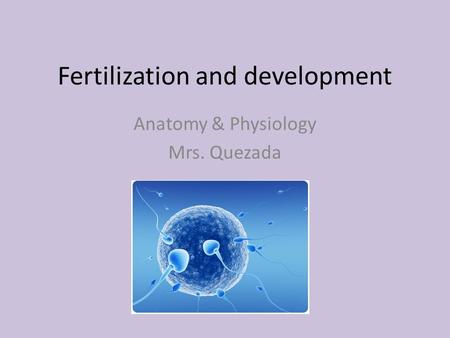 Fertilization and development