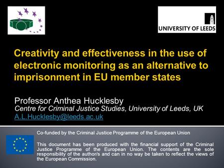 Professor Anthea Hucklesby Centre for Criminal Justice Studies, University of Leeds, UK Co-funded by the Criminal Justice Programme.