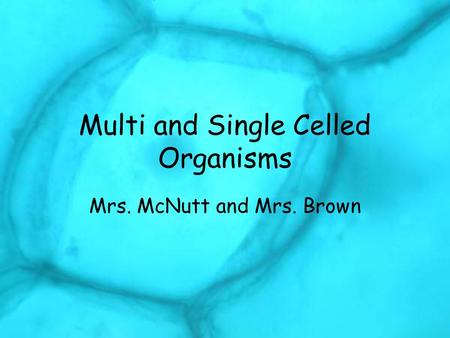Multi and Single Celled Organisms Mrs. McNutt and Mrs. Brown.