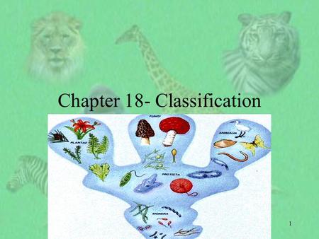 1 Chapter 18- Classification. 2 I. Finding order in Diversity A. Why classify? 1. To study the diversity of life, biologists use a classification system.