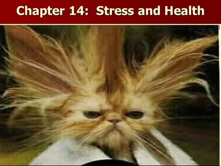 Chapter 14: Stress and Health. Studying the Effects of Stress on Health Behavioral Medicine: field that combines knowledge of biomedical perspective and.