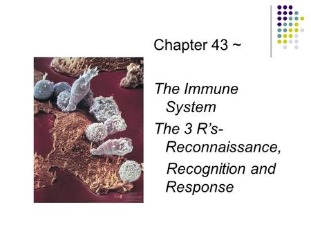 Chapter 43 ~ The Immune System The 3 R’s- Reconnaissance,