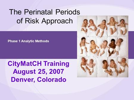 The Perinatal Periods of Risk Approach CityMatCH Training August 25, 2007 Denver, Colorado Phase 1 Analytic Methods.