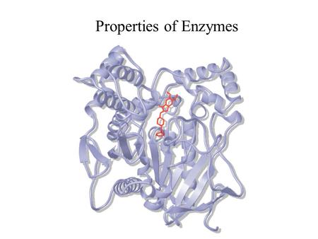 Properties of Enzymes. Enzymes are catalysts What properties would ideal catalysts have?