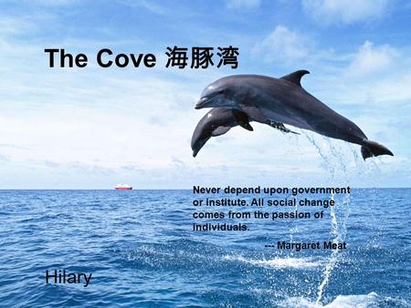 The Cove 海豚湾 Hilary Never depend upon government or institute. All social change comes from the passion of individuals. --- Margaret Meat.