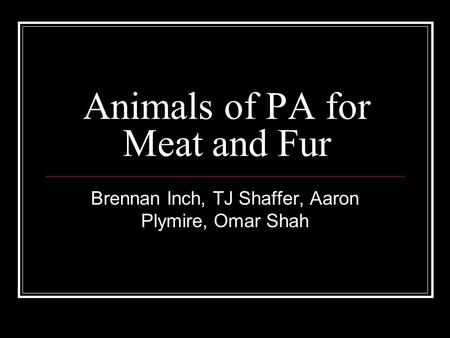 Animals of PA for Meat and Fur Brennan Inch, TJ Shaffer, Aaron Plymire, Omar Shah.