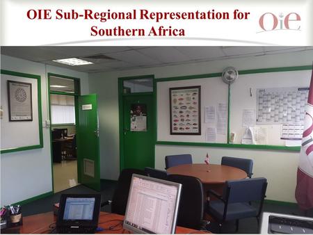 1 OIE Sub-Regional Representation for Southern Africa.