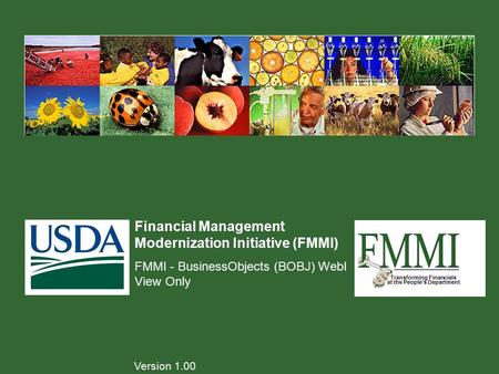 Transforming Financials at the People’s Department Financial Management Modernization Initiative (FMMI) FMMI - BusinessObjects (BOBJ) WebI View Only Version.