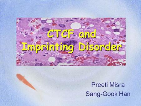 CTCF and Imprinting Disorder Preeti Misra Sang-Gook Han.