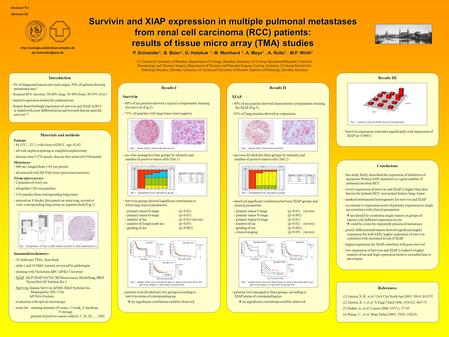 Survivin and XIAP expression in multiple pulmonal metastases from renal cell carcinoma (RCC) patients: results of tissue micro array (TMA) studies P. Schneider.