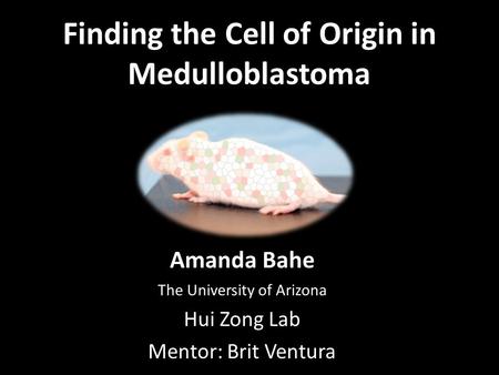 Finding the Cell of Origin in Medulloblastoma