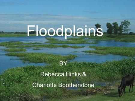 Floodplains BY Rebecca Hinks & Charlotte Bootherstone.