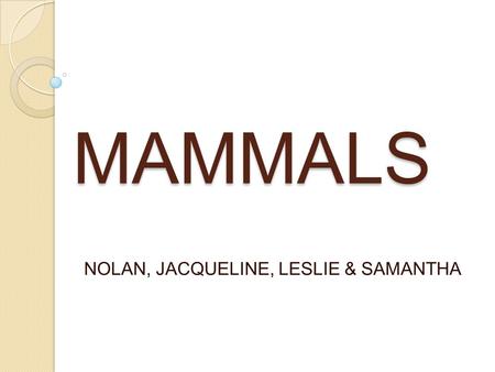 MAMMALS NOLAN, JACQUELINE, LESLIE & SAMANTHA. WHAT IS A MAMMAL WHAT IS A MAMMAL?- A WARM BLOODED VERTEBRAE ANIMAL OF A CLASS THAT IS DISTINGUISHED BY.