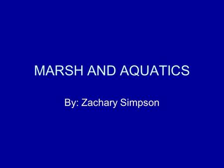 MARSH AND AQUATICS By: Zachary Simpson. Bulrush Distribution: Hard stem: temperate North America. Softstem: nearly worldwide. Habitat: Marshes and shorelines.