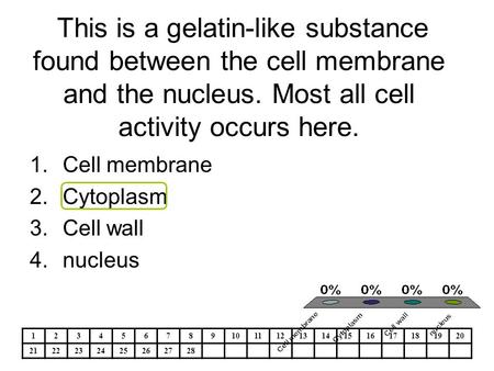 This is a gelatin-like substance found between the cell membrane and the nucleus. Most all cell activity occurs here. 1.Cell membrane 2.Cytoplasm 3.Cell.