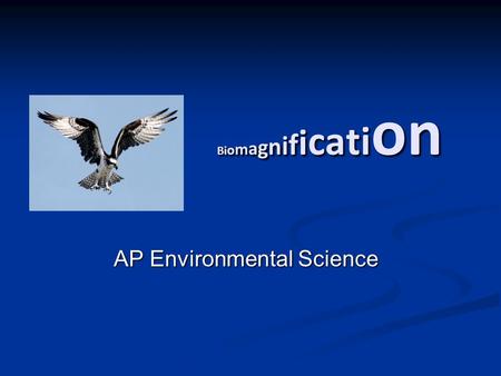 Bi o m a g n i f i cati on AP Environmental Science.