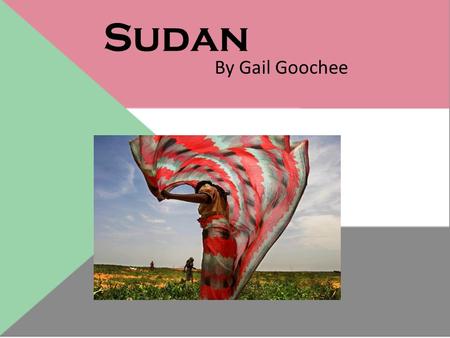 Sudan By Gail Goochee. Population: 30,080,373 Language(s):Arabic (official), Nubian, TaBedawie, diverse dialects of Nilotic, Nilo- Hamitic, Sudanic, English.