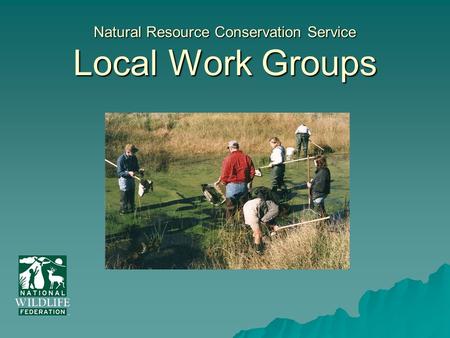 Natural Resource Conservation Service Local Work Groups.