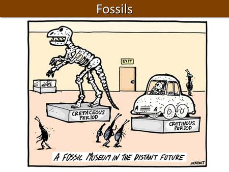FossilsFossils. Question of the Day Question: How much of a 100g uranium sample is left after 2 half lives? Answer: ……… Turn In: - p. 588 CYU 1 – 6 -Half.