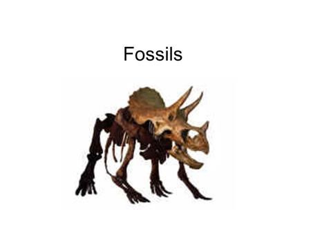 Fossils. Fossils are the evidence or remains of prehistoric life – plants or animals. We use fossils to work out the relative ages of rock layers, and.