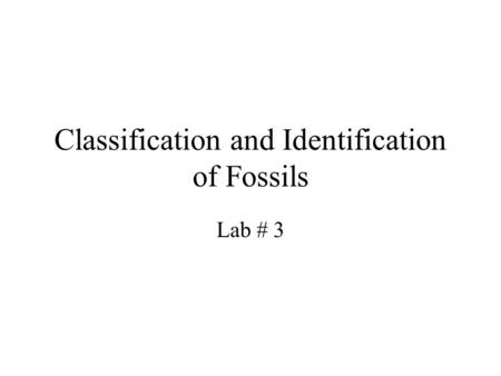 Classification and Identification of Fossils Lab # 3.
