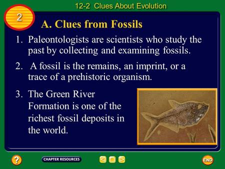 A. Clues from Fossils 1.Paleontologists are scientists who study the past by collecting and examining fossils. 2. A fossil is the remains, an imprint,