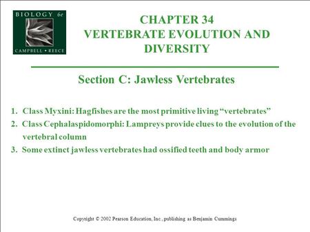 CHAPTER 34 VERTEBRATE EVOLUTION AND DIVERSITY Copyright © 2002 Pearson Education, Inc., publishing as Benjamin Cummings Section C: Jawless Vertebrates.