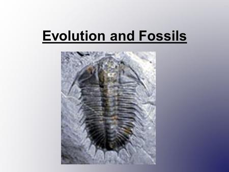 Evolution and Fossils.