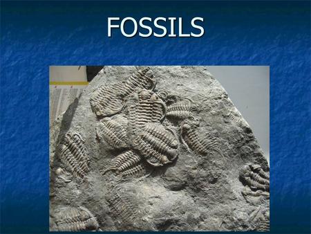 FOSSILS. Fossils remains or imprints of an organism that lived long ago remains or imprints of an organism that lived long ago Formed 5 ways …. Formed.