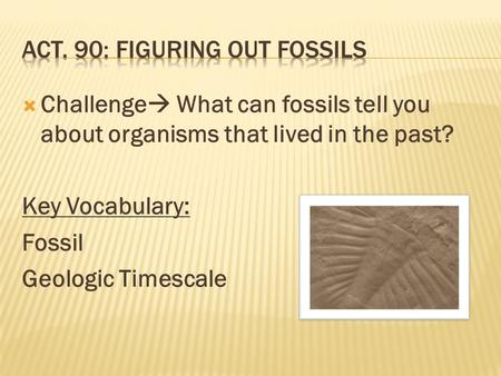  Challenge  What can fossils tell you about organisms that lived in the past? Key Vocabulary: Fossil Geologic Timescale.