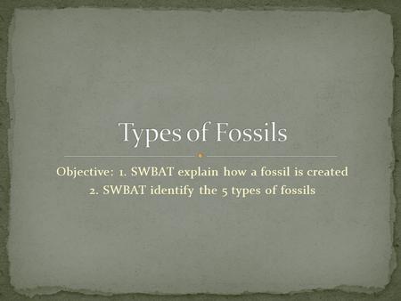 Objective: 1. SWBAT explain how a fossil is created 2. SWBAT identify the 5 types of fossils.