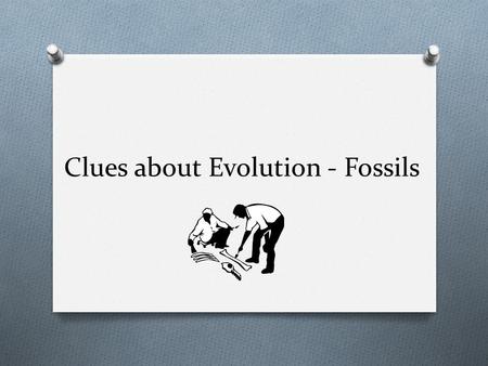 Clues about Evolution - Fossils