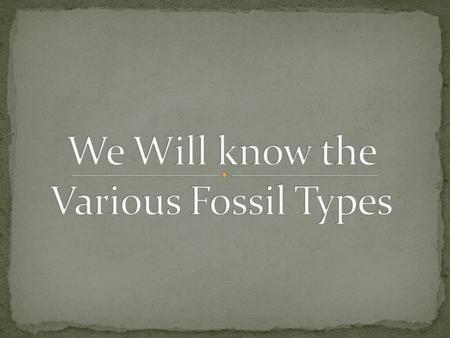 A Fossil is the preserved remains of animals or plants from an earlier era in rock or other geological deposit, often in a petrified state. There are.