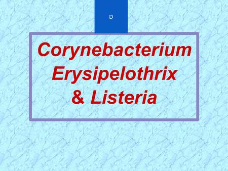 Corynebacterium Erysipelothrix & Listeria