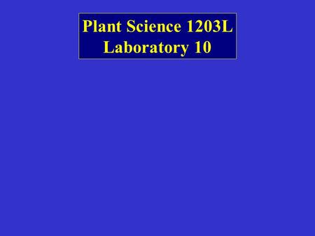 Plant Science 1203L Laboratory 10. Prop roots and sheathing leaf bases (no petioles)