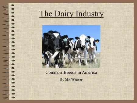 The Dairy Industry By Mr. Weaver Common Breeds in America.