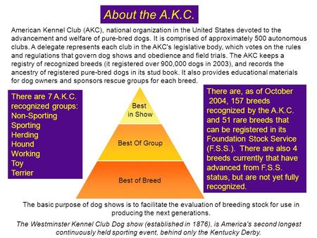 The basic purpose of dog shows is to facilitate the evaluation of breeding stock for use in producing the next generations. About the A.K.C. The Westminster.