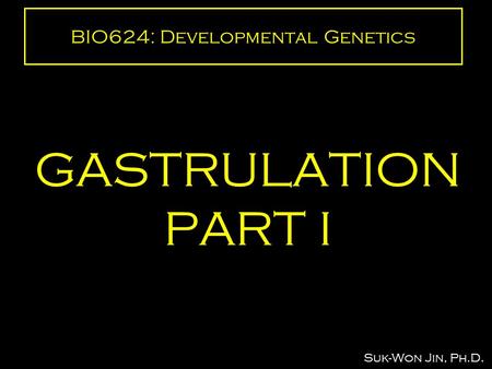 BIO624: Developmental Genetics GASTRULATION PART I Suk-Won Jin, Ph.D.
