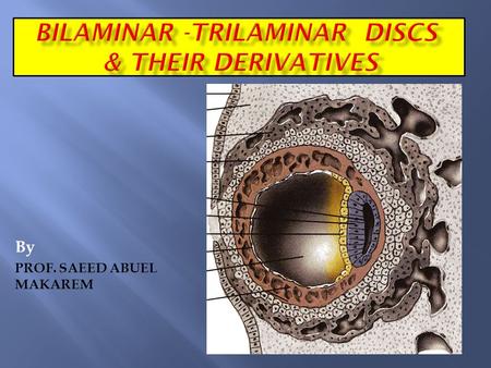 BILAMINAR -TRILAMINAR DISCS & THEIR DERIVATIVES
