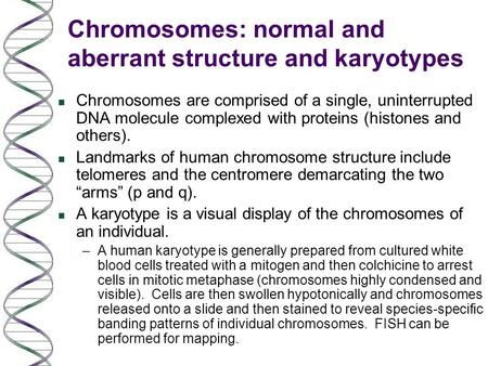 Chromosomes: normal and aberrant structure and karyotypes n Chromosomes are comprised of a single, uninterrupted DNA molecule complexed with proteins (histones.