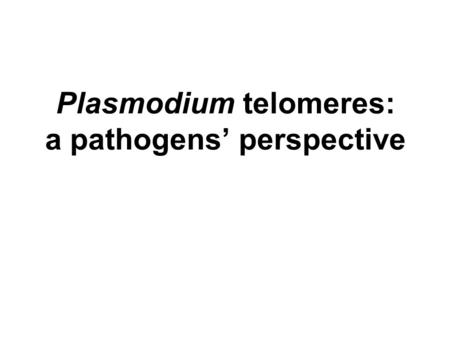 Plasmodium telomeres: a pathogens’ perspective