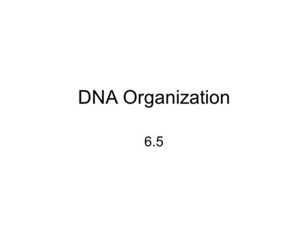 DNA Organization 6.5. Chromosome Structure the human genome consists of 23 pairs of chromosomes if all of the DNA was stretched out, it would measure.
