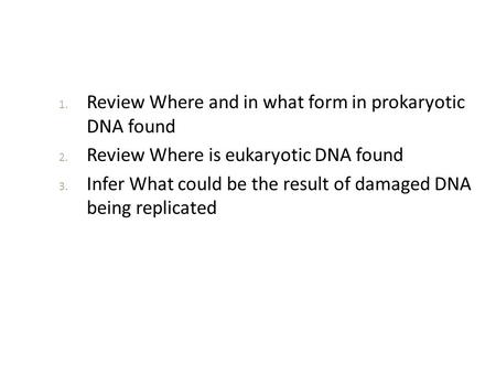 Review Where and in what form in prokaryotic  DNA found
