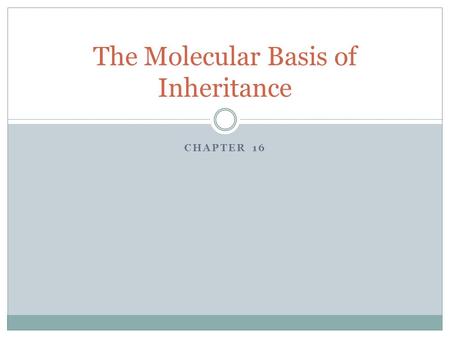 CHAPTER 16 The Molecular Basis of Inheritance. What is DNA? DNA stands for deoxyribonucleic acid. DNA is what makes our genes, and along with protein,
