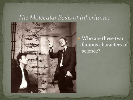 Who are these two famous characters of science?. Mendel (1865): Inheritance.
