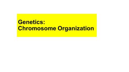Genetics: Chromosome Organization. Chromosomes: Structures that contain the genetic material (DNA) Genome – complete set of genetic material in a particular.