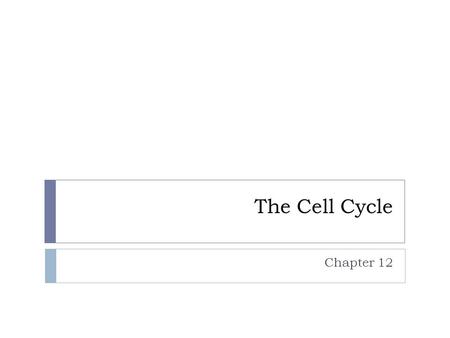 The Cell Cycle Chapter 12. When do cells divide?  Reproduction  Replacement of damaged cells  Growth of new cells  In replacement and growth cell.
