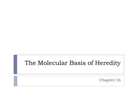 The Molecular Basis of Heredity Chapter 16. Learning Target 1 I can explain why researchers originally thought protein was the genetic material.